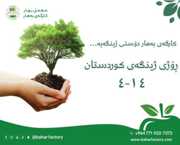 رۆژی ژینگەی کوردستان، پاراستن و گرنگیپێدان