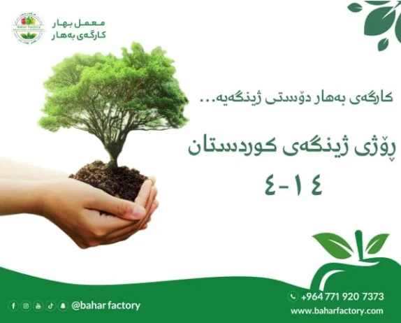 رۆژی ژینگەی کوردستان، پاراستن و گرنگیپێدان