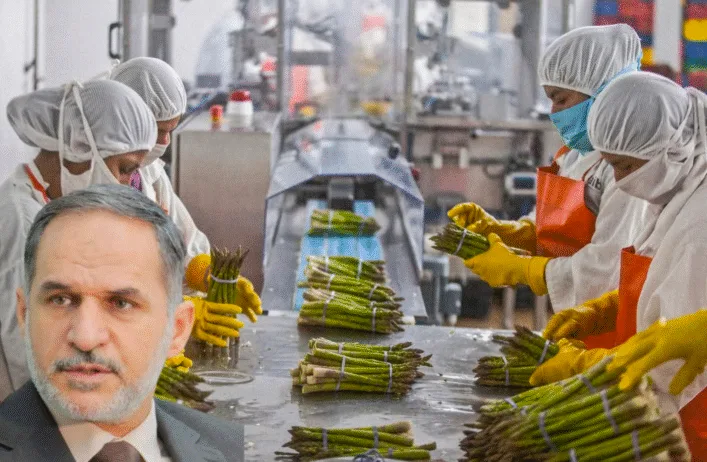 لایەنە پەیوەندیدارە سوودمەندەکان لە دامەزراندن و بەڕێوەبردنی پرۆژەکانی پیشەسازی خۆراک و کارگەکان دا …