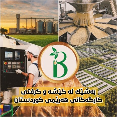 بەشێک لە کێشە و گرفتی کارگەکانی هەرێمی کوردستان