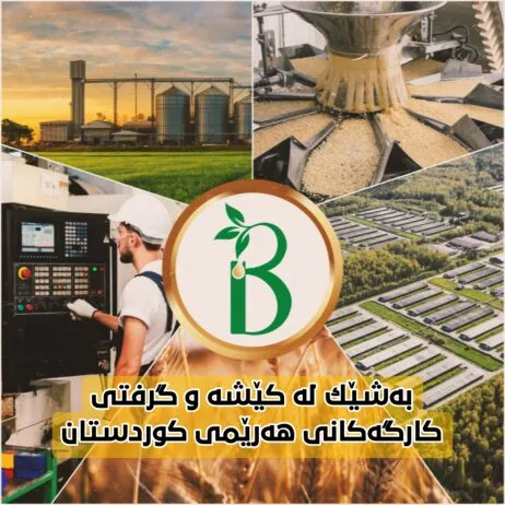 بەشێک لە کێشە و گرفتی کارگەکانی هەرێمی کوردستان